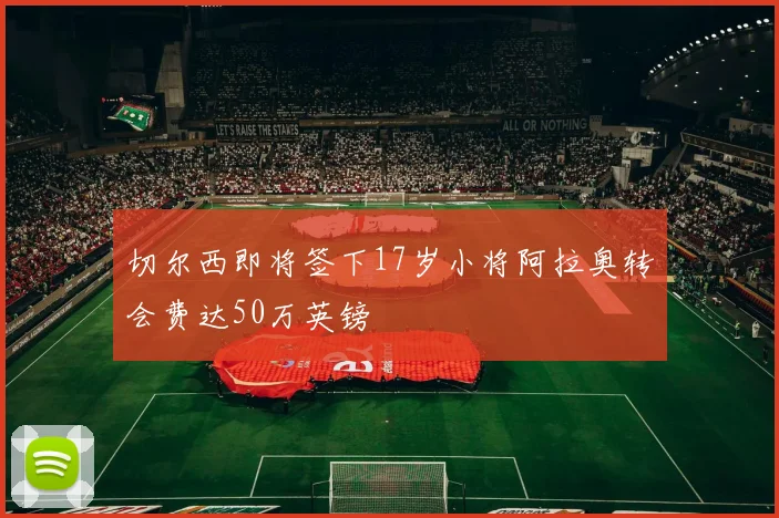 切尔西即将签下17岁小将阿拉奥转会费达50万英镑